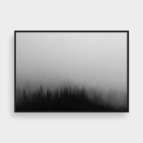  FOGGY FOREST NO.4 