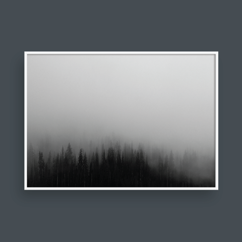  FOGGY FOREST NO.4 
