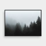  FOGGY FOREST NO.5 