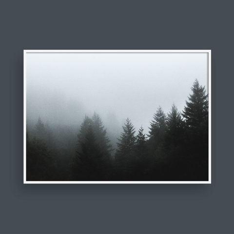 FOGGY FOREST NO.5 