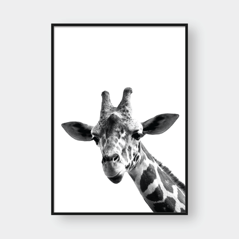  GIRAFFE 