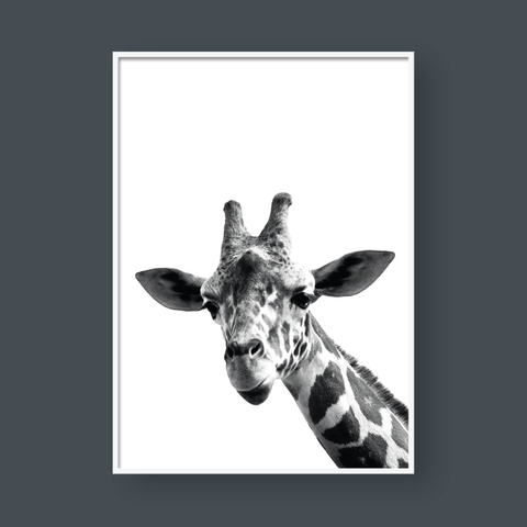  GIRAFFE 
