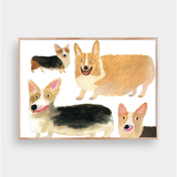  HAPPY CORGI DOG 