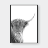  HIGHLAND COW NO.1 