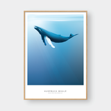  HUMPBACK WHALE 