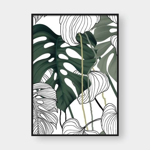  TROPICAL SET 05 