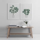  HOUSE PLANTS 