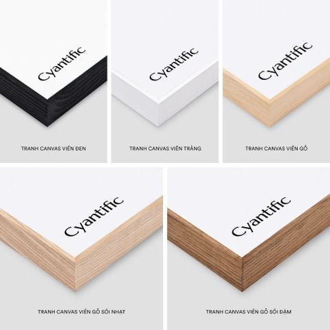  MINIMALIST HAND DRAWN SET 01 