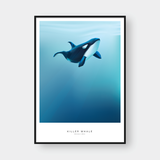  KILLER WHALE 