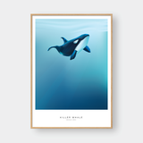  KILLER WHALE 