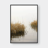  LAKESIDE 