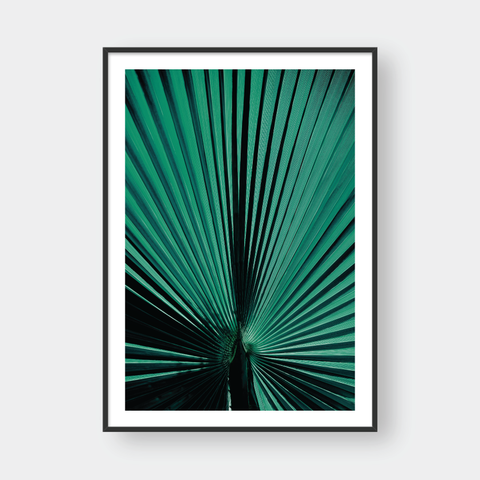  PALM LEAF NO.1 