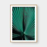  PALM LEAF NO.1 