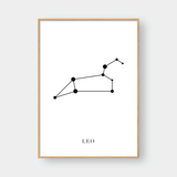  LEO 