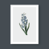  LILY NO.1 