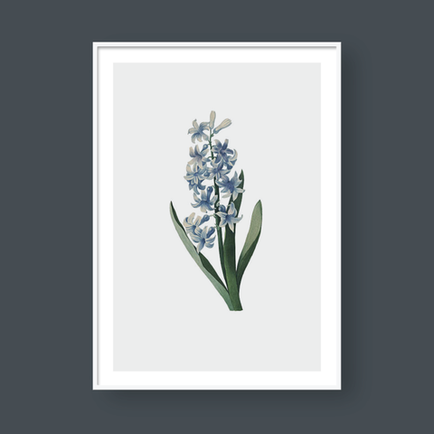  LILY NO.1 