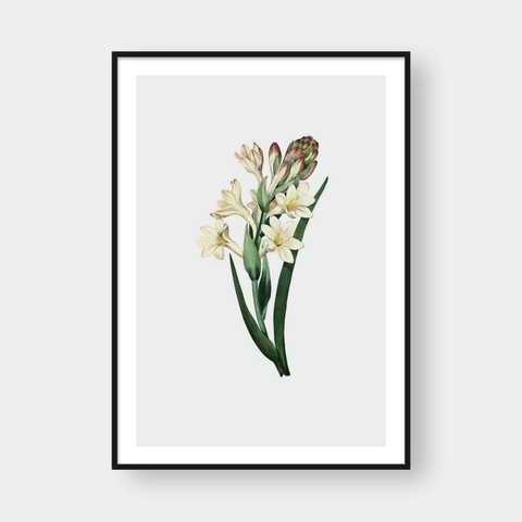  LILY NO.2 