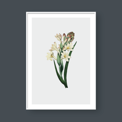  LILY NO.2 