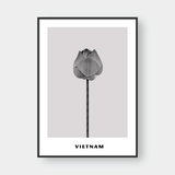  LOTUS 1 