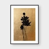  LOTUS AND GOLDEN 