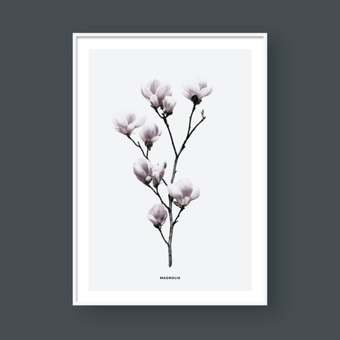  MAGNOLIA FLOWER NO.1 
