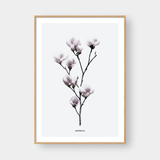  MAGNOLIA FLOWER NO.1 