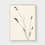  MODERN MONOCHROME SET 02 