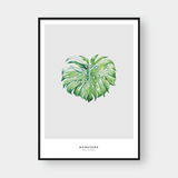  MONSTERA LEAF NO.7 