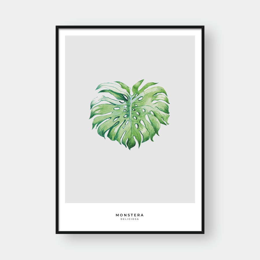  MONSTERA LEAF NO.7 
