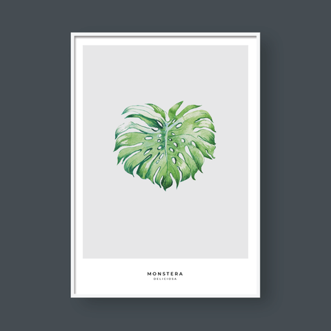  MONSTERA LEAF NO.7 