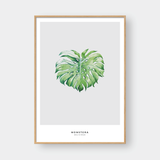  MONSTERA LEAF NO.7 