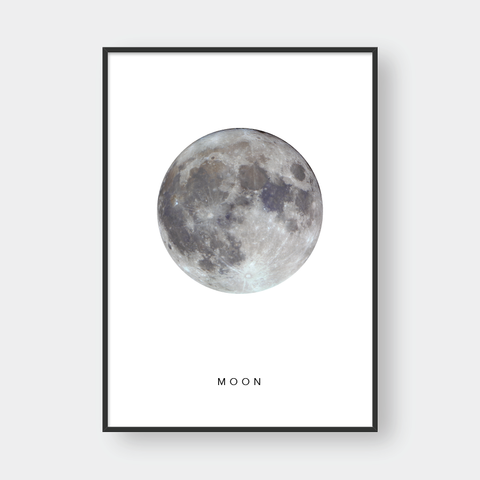  MOON 