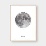  MOON 