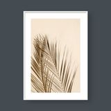  OASIS PALM LEAF NO.1 