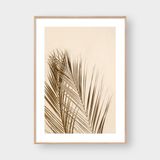  OASIS PALM LEAF NO.1 