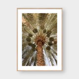  OASIS PALM LEAF TREE 