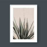  OASIS PLANT 