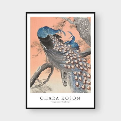  OHARA KOSON NO.1 