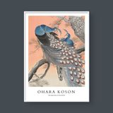  OHARA KOSON NO.1 