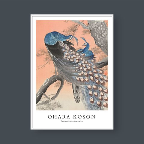  OHARA KOSON NO.1 