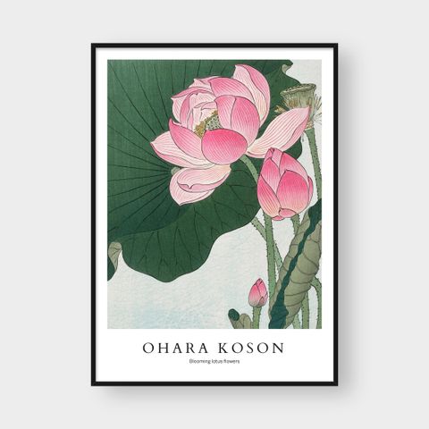  OHARA KOSON NO.9 