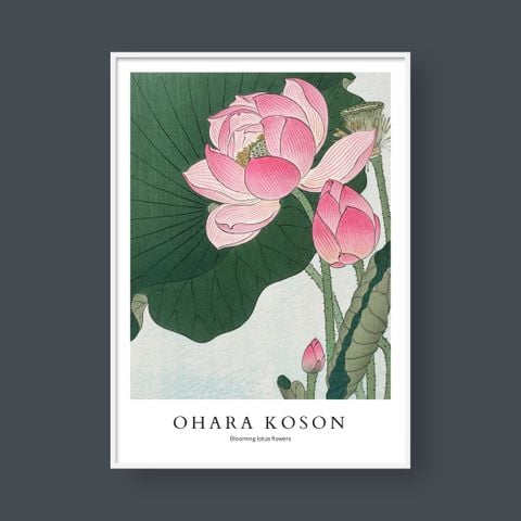  OHARA KOSON NO.9 