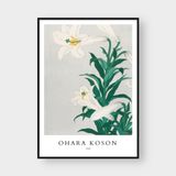  OHARA KOSON NO.3 