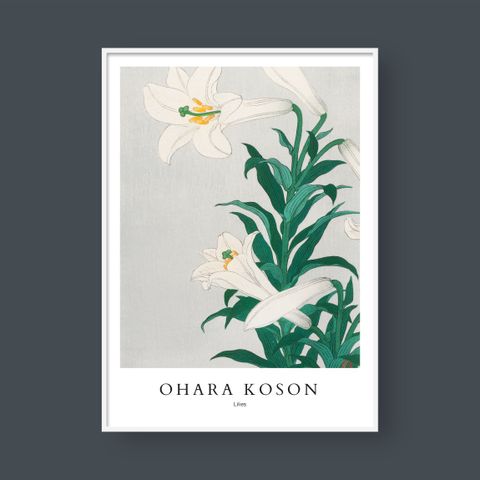  OHARA KOSON NO.3 