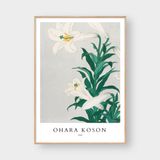  OHARA KOSON NO.3 
