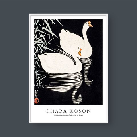  OHARA KOSON NO.6 