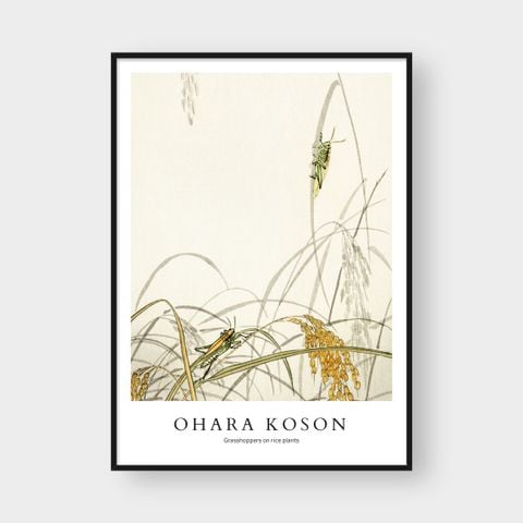 OHARA KOSON