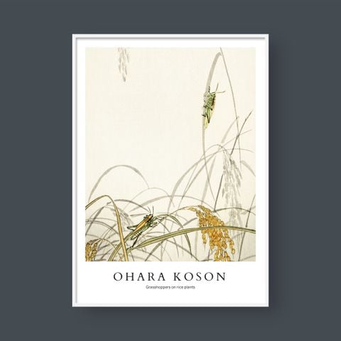  OHARA KOSON NO.8 