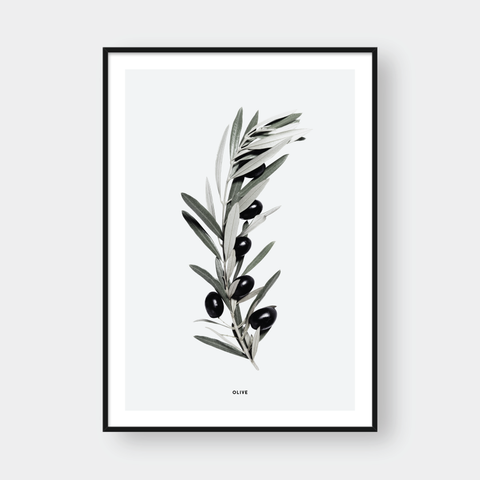  OLIVE BRANCH 