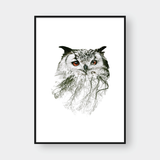  OWL DOUBLE EXPOSURE 